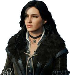 The Witcher PNG