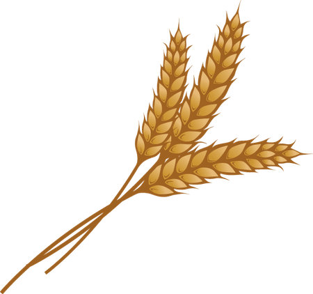 Wheat PNG