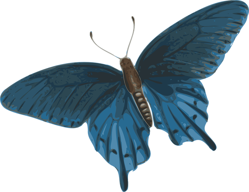 Life Is Strange Butterfly PNG
