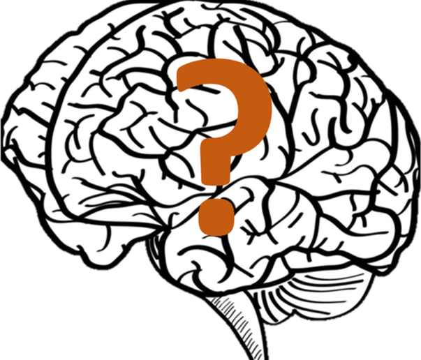 Working Brain PNG