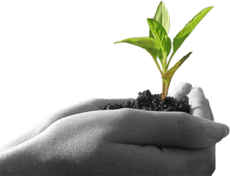Agriculture PNG