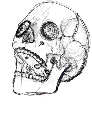 Skull Drawing PNG