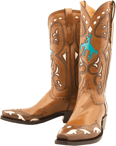 Cowboy Boots PNG