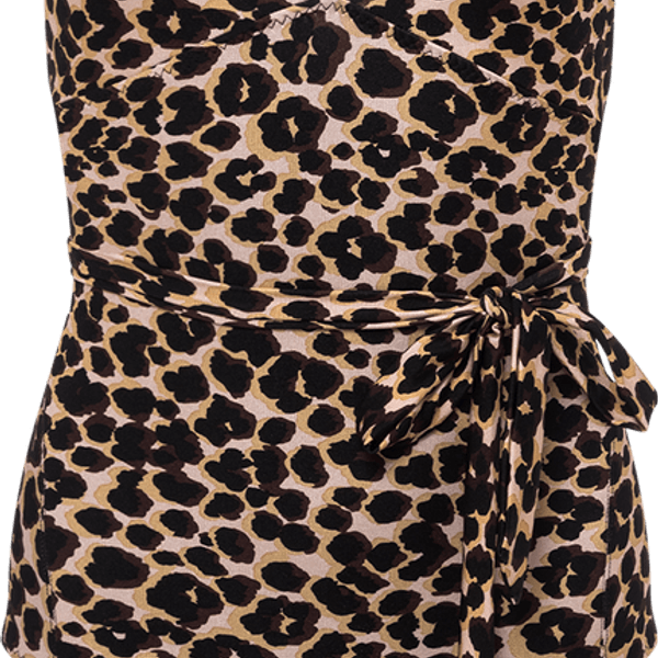 Animal Print Swimsuit PNG
