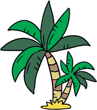 Palm Tree Cartoon PNG