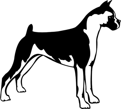 Boxer Dog PNG