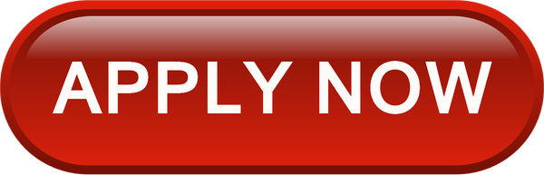 Submit Now PNG