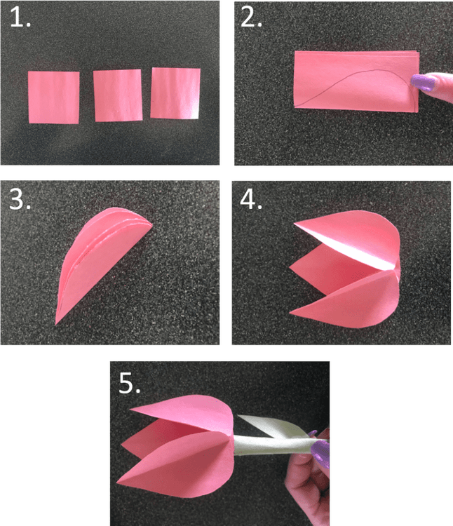 Paper Flower PNG