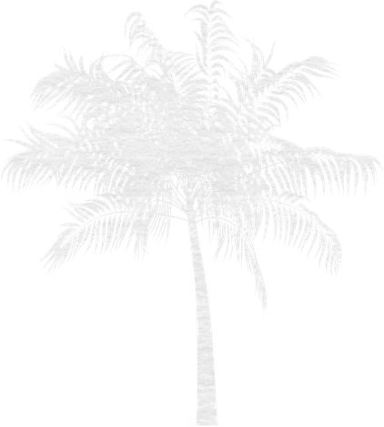 White Palm Tree PNG