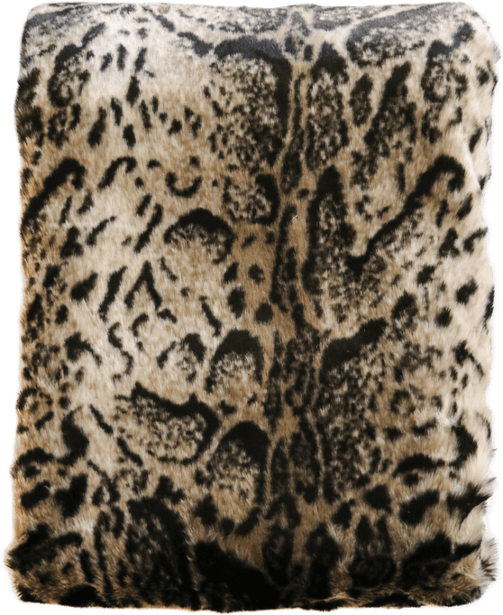 Leopard Print PNG