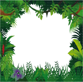 Jungle Leaves Border PNG