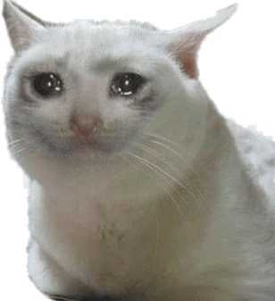 Sad Cat Memes PNG