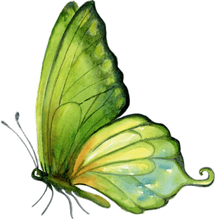 Butterfly Sticker PNG