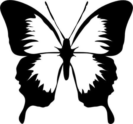 Butterfly Black And White PNG