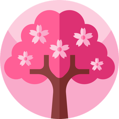 Cherry Blossom Tree PNG