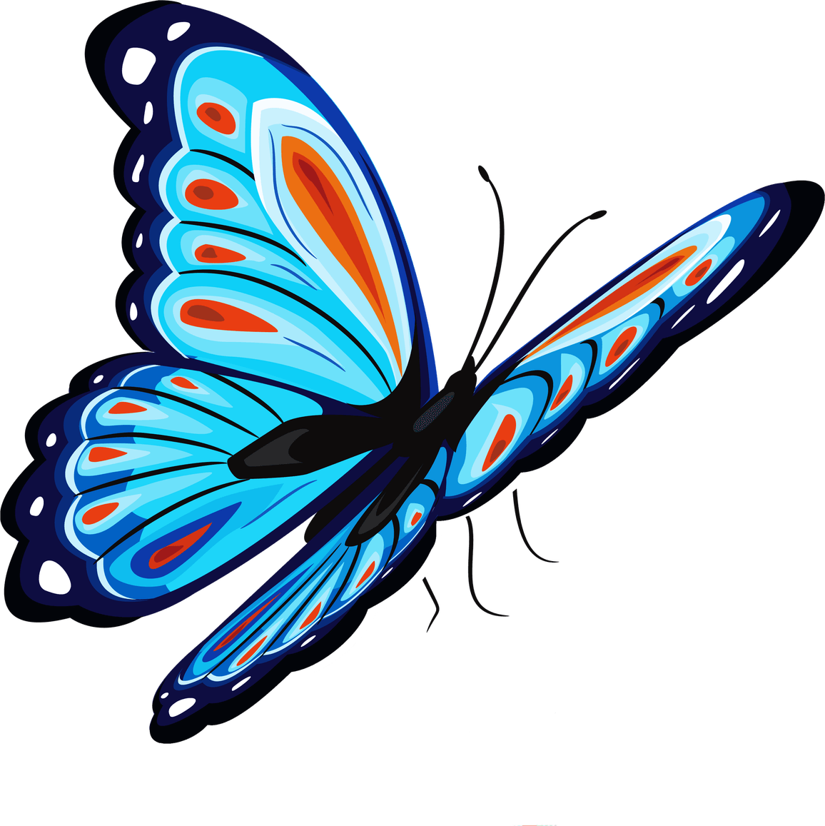 Butterfly Picsart PNG