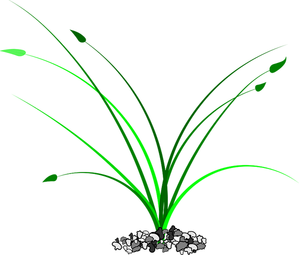 Patch Of Grass PNG