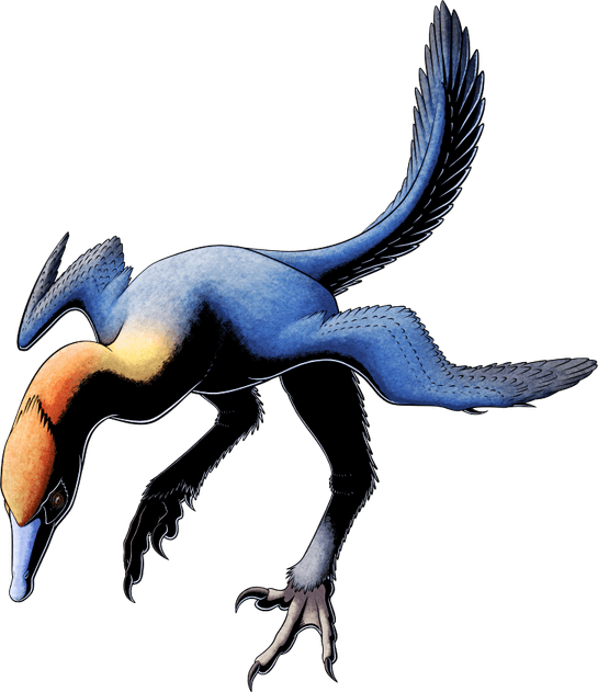 Dinosaur Bird PNG