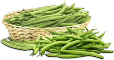 French Beans PNG