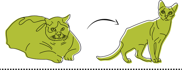 Heavy Breathing Cat PNG