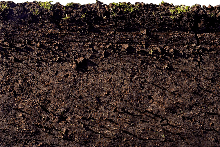 Mud PNG
