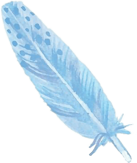 Watercolor Feather PNG