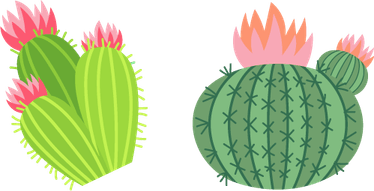 Cactus Flower PNG