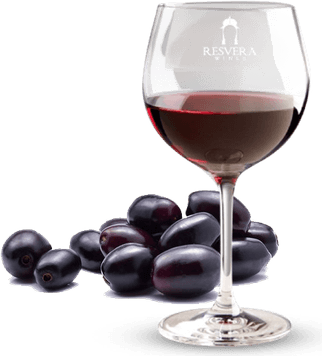 Java Plum PNG