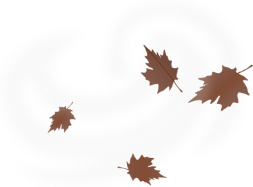 Fall Leaf PNG