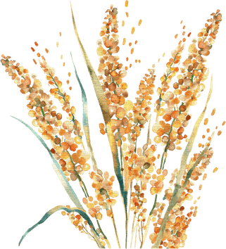 Watercolor Grass PNG