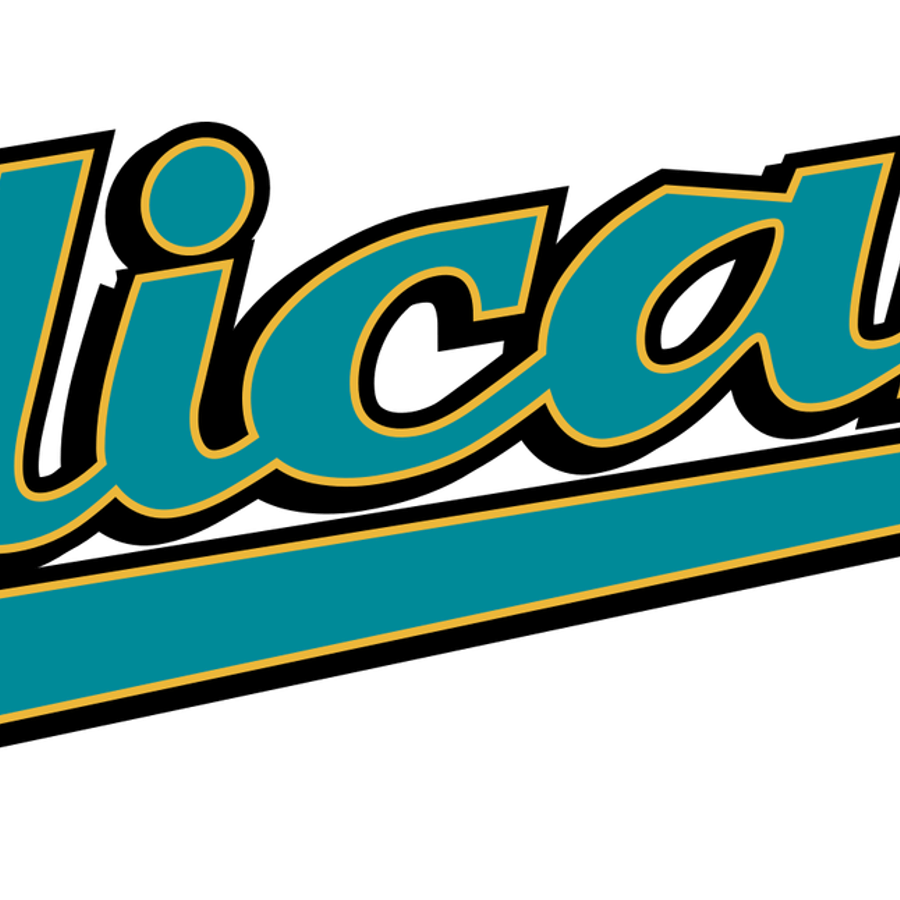 Myrtle Beach Pelicans PNG
