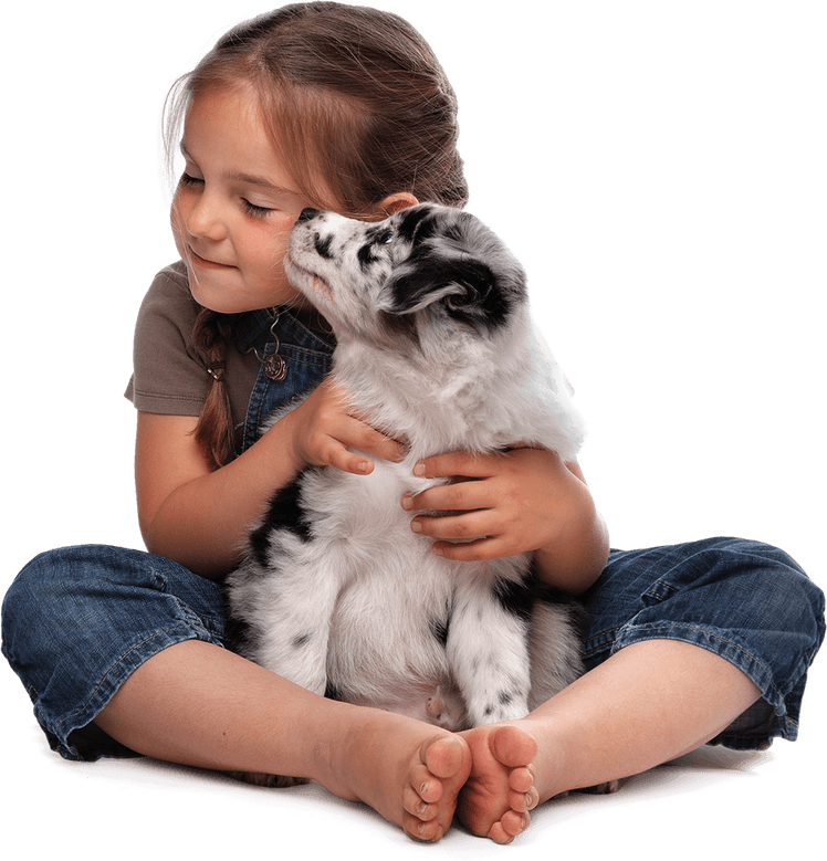 Petting Dog PNG