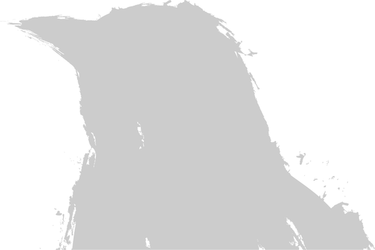 Dark Bird PNG