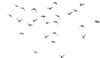 Texture Overlay PNG