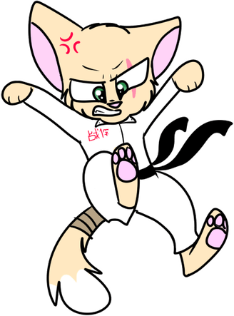 Karate Cat PNG