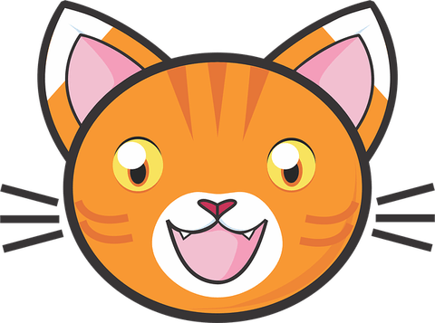 Ginger Tabby Cat PNG