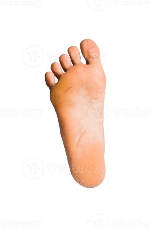 Feet PNG