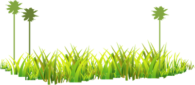 Jungle Grass PNG