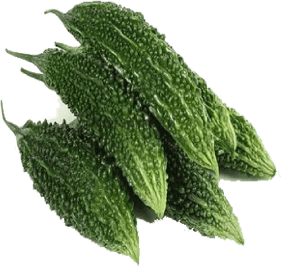 Bitter Gourd PNG
