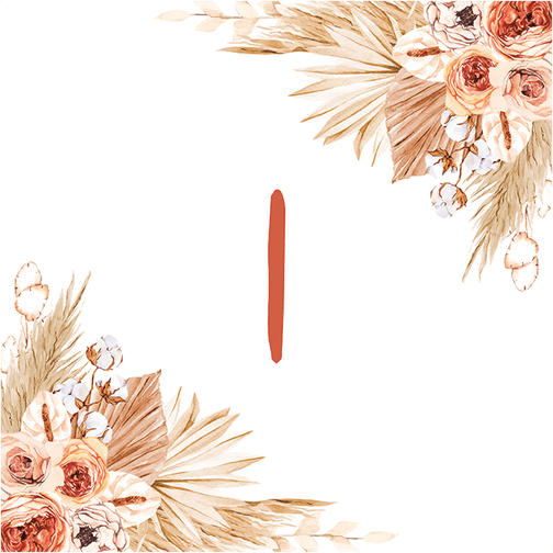 Pampas Grass PNG