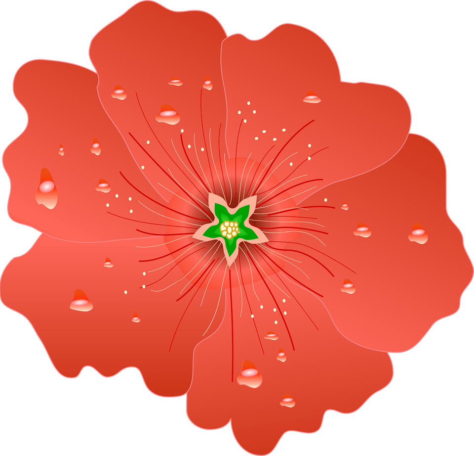 Hollyhock Flower PNG