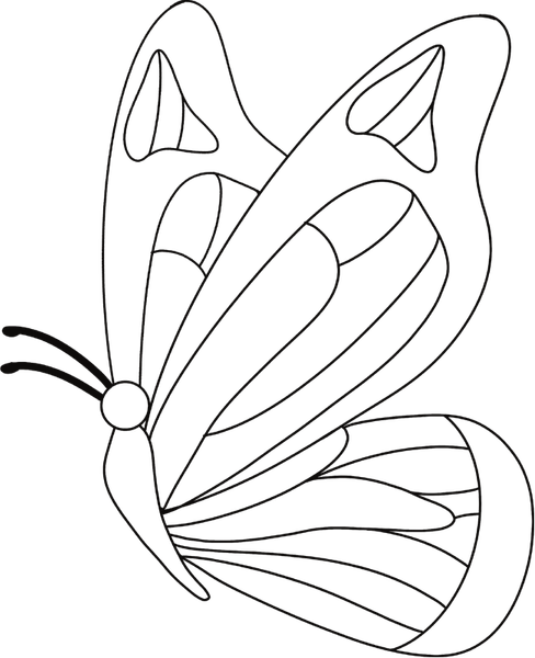 Butterfly Bw PNG