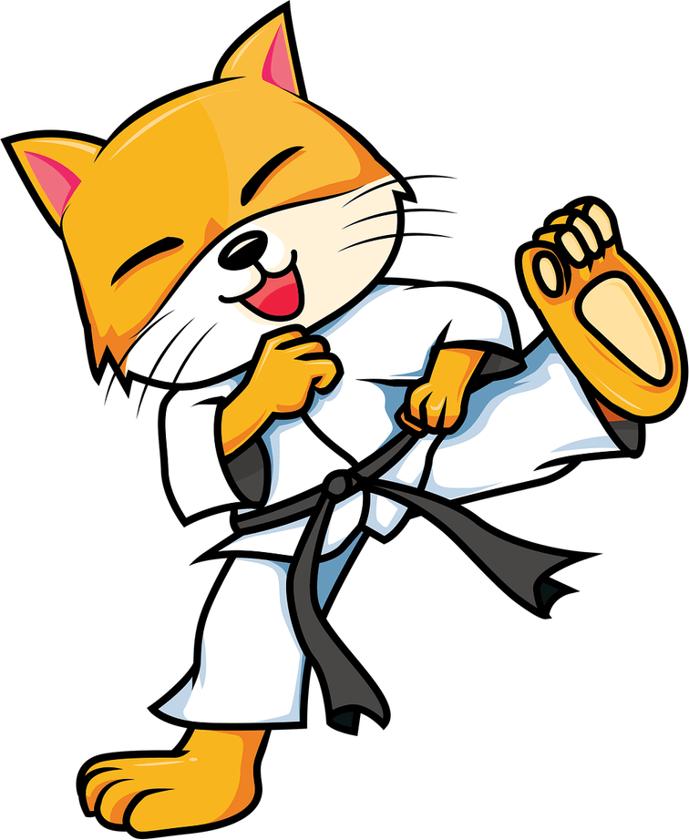 Karate Cat PNG
