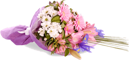 Congratulation Flower PNG