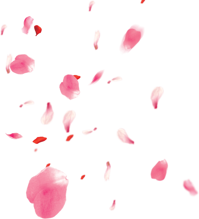 Petal PNG