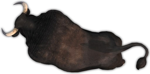 Ox Animal PNG
