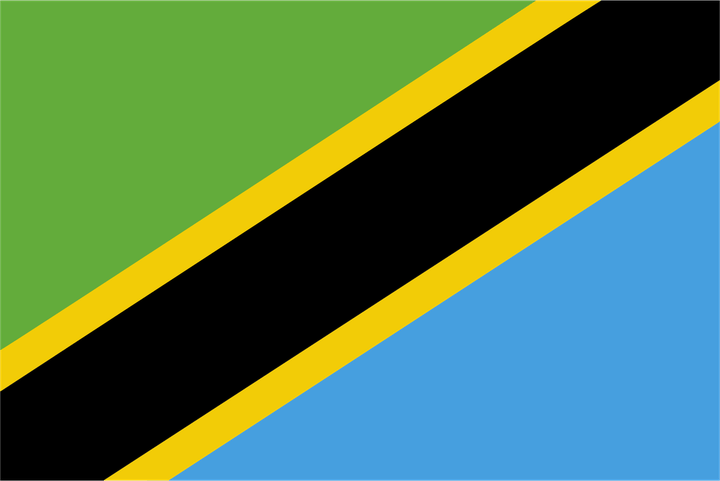 Tanzania Flag PNG