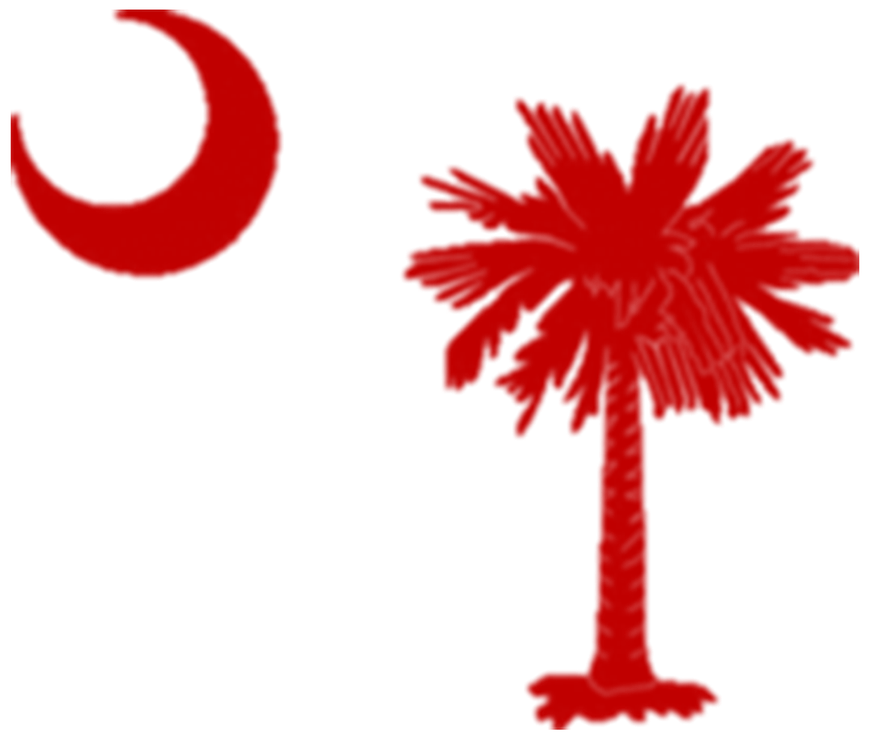 South Carolina Palm Tree PNG