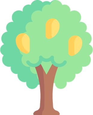 Mango Tree PNG