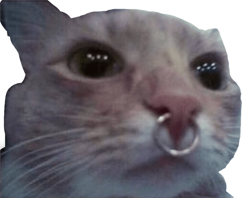 Sad Cat Memes PNG